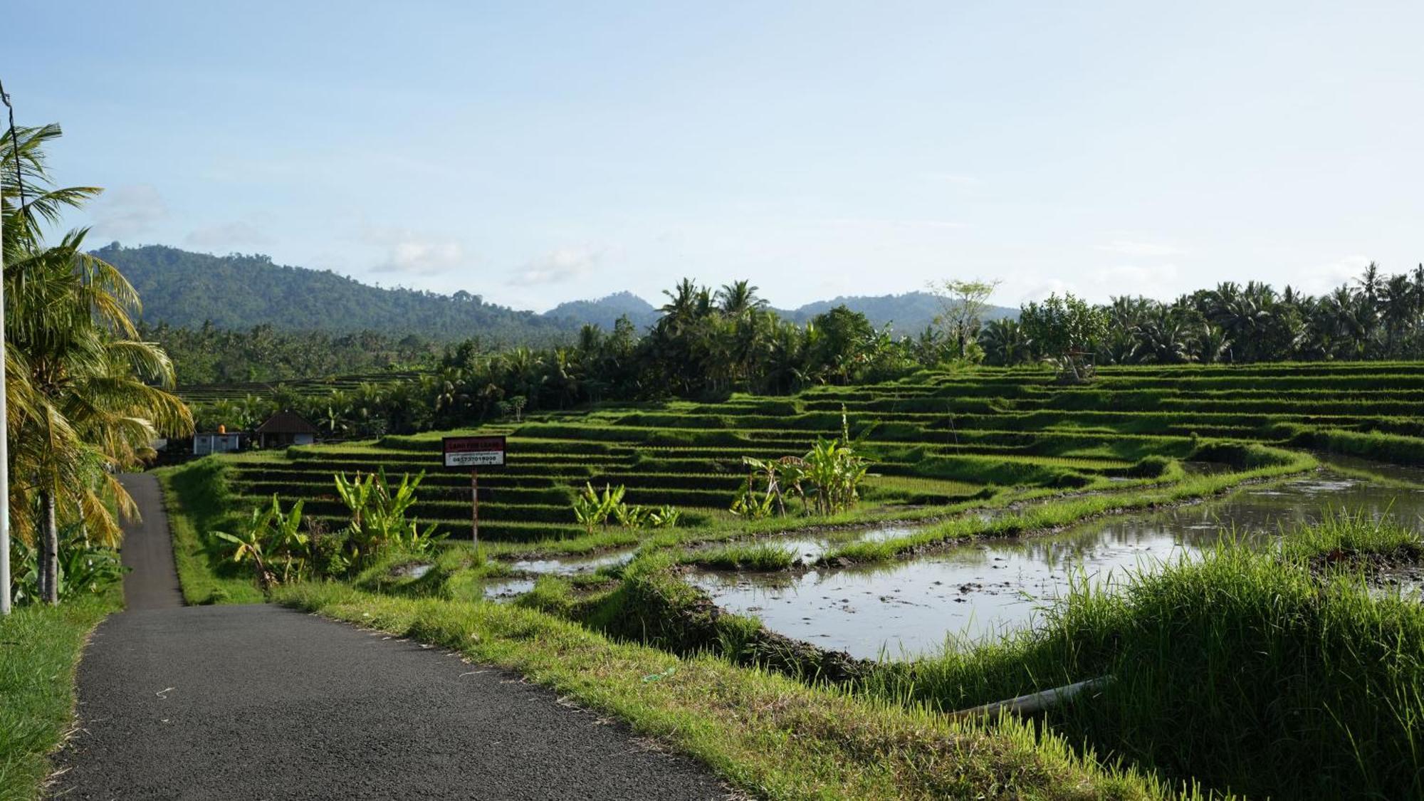 Kelapa Retreat y spa Hotel Bali Pulukan Exterior foto